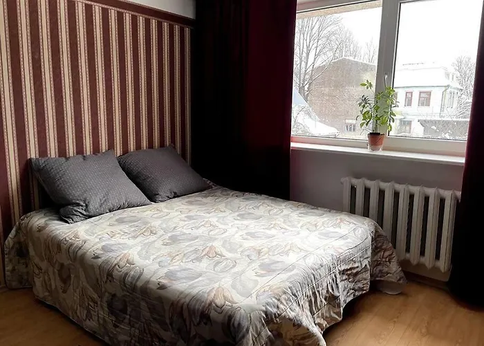 Kena Korter Kesklinnas Ja Ranna Laehedal! Apartment Parnu